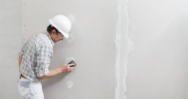Best Mold Removal for HVAC Installations  in Edwardsburg, MI