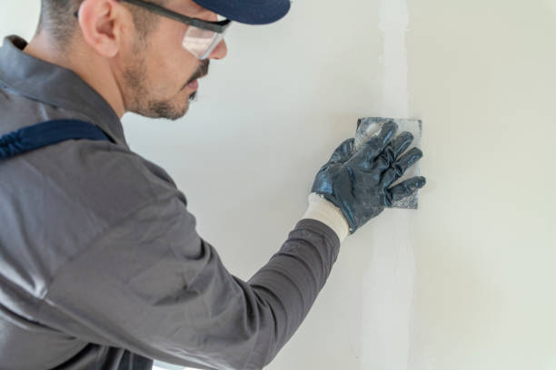 Dehumidification Services in Edwardsburg, MI