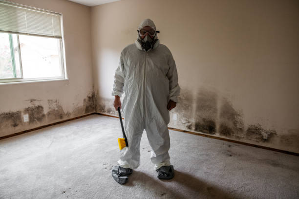 Best Airborne Mold Testing  in Edwardsburg, MI