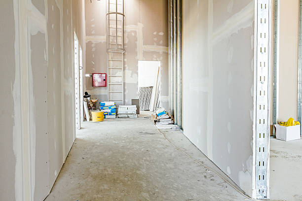 Best Asbestos and Lead Testing During Mold Inspection  in Edwardsburg, MI